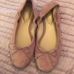 Essex lane lavender flats